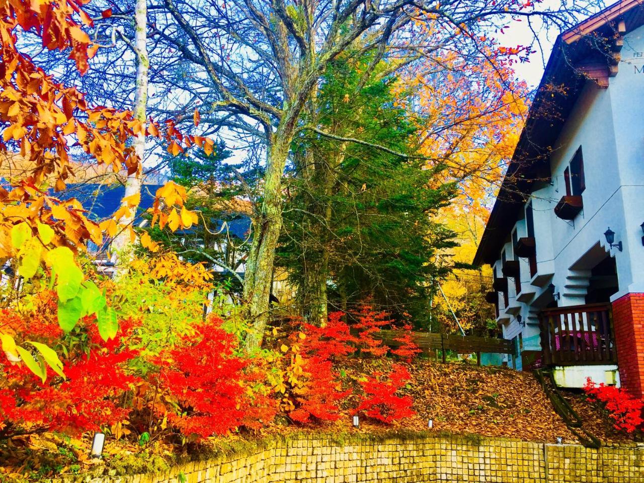 白樺湖榮園 Hotell Chino Exteriör bild